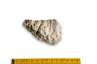 F 09780
<br/>
<br/>
<em></em>